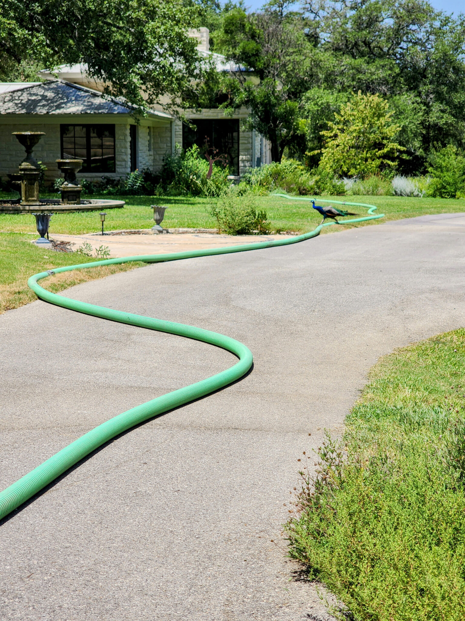 Residential Ranch Septic System Pumping